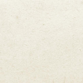 Visiostro - Book I